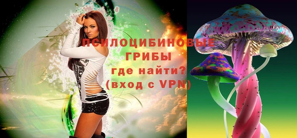 a pvp Абаза