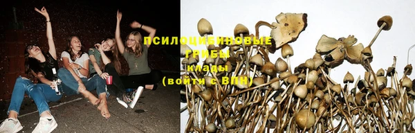 марки lsd Абинск