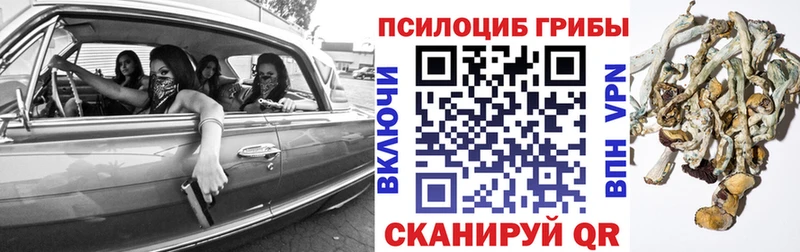 Галлюциногенные грибы Psilocybine cubensis  гидра вход  Подпорожье  цены  